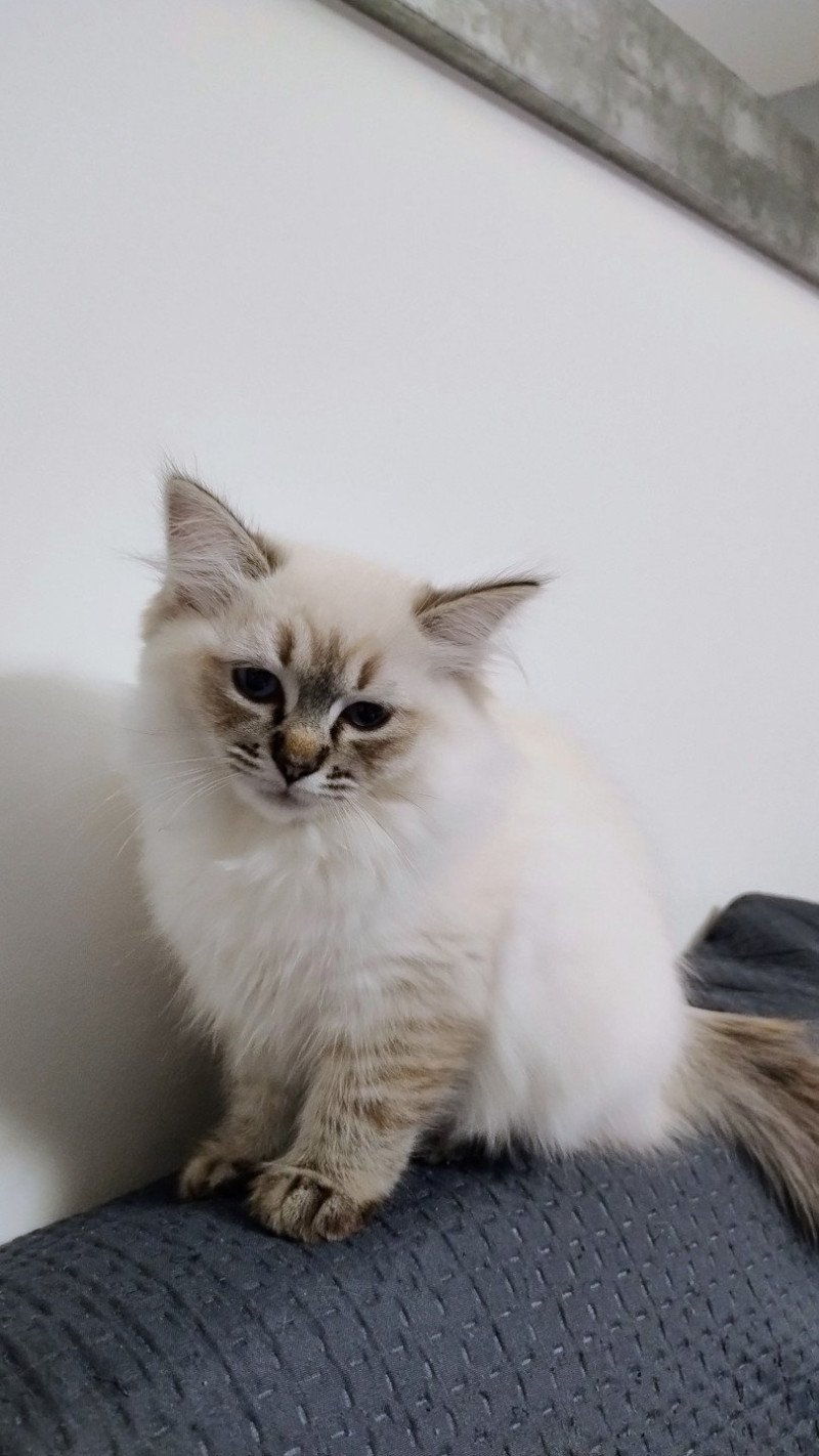 Vénus 3 mois