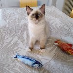 Zéphyr 3 mois