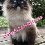 Daily 1 an