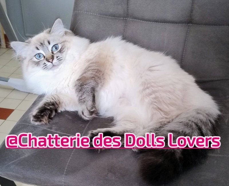 Vénus 7 mois
