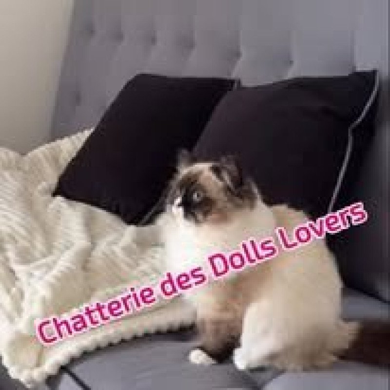 Victoire 7 mois